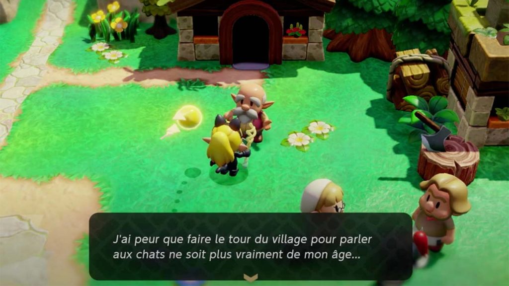 activer-la-quete-pour-retrouver-le-chat-dans-Zelda-Echoes-of-Wisdom