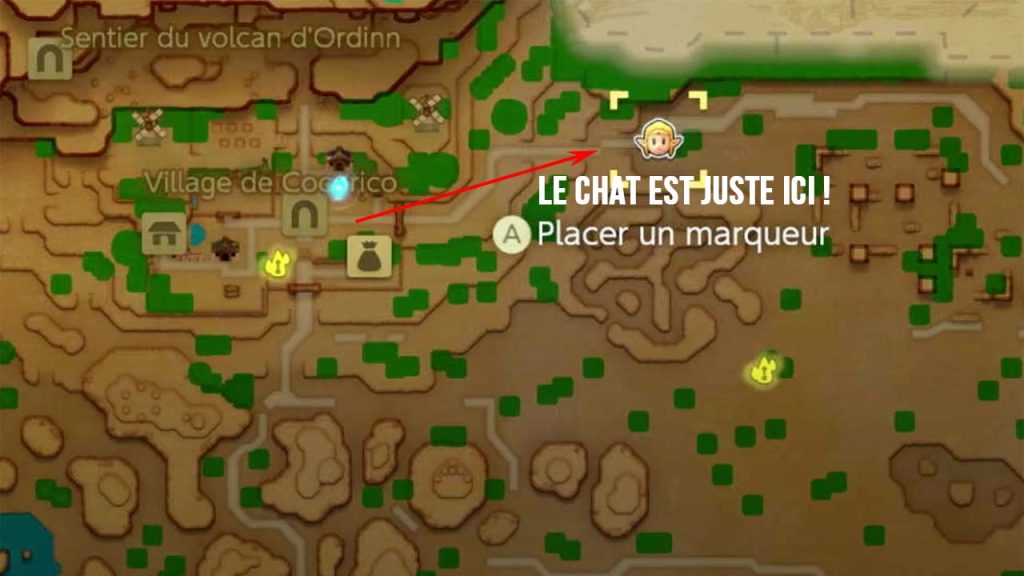 emplacement-chat-perdu-Zelda-Echoes-of-Wisdom